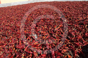 chilli-powder