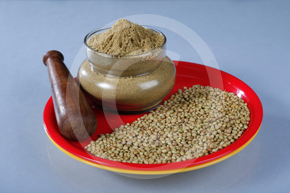 coriander-powder-manufacturers