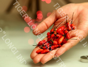 longi mirch market in india