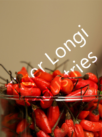 indian spices dealers