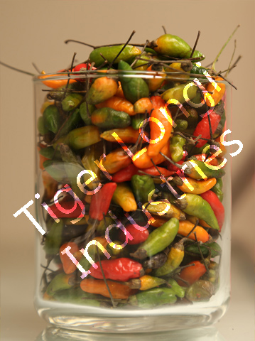 red chilli powder wholesale