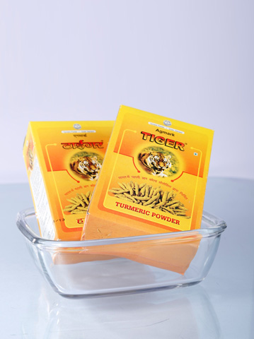 turmeric powder suppliers in india